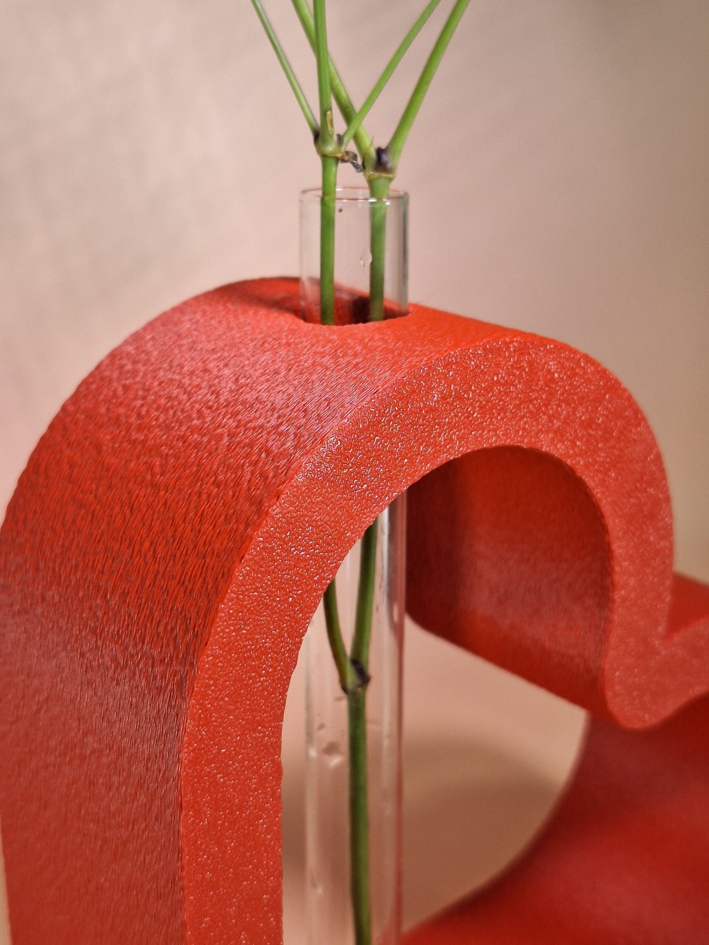Cuore - Antiform